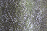 Bremhill Wick fibreglass roof work